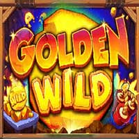 Golden WIld